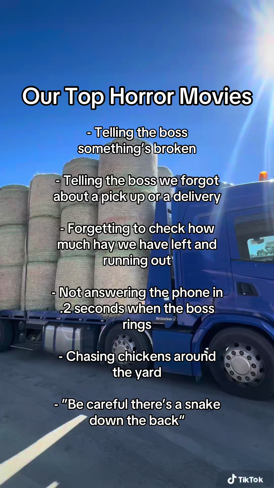 @bringellypetandstockfeed