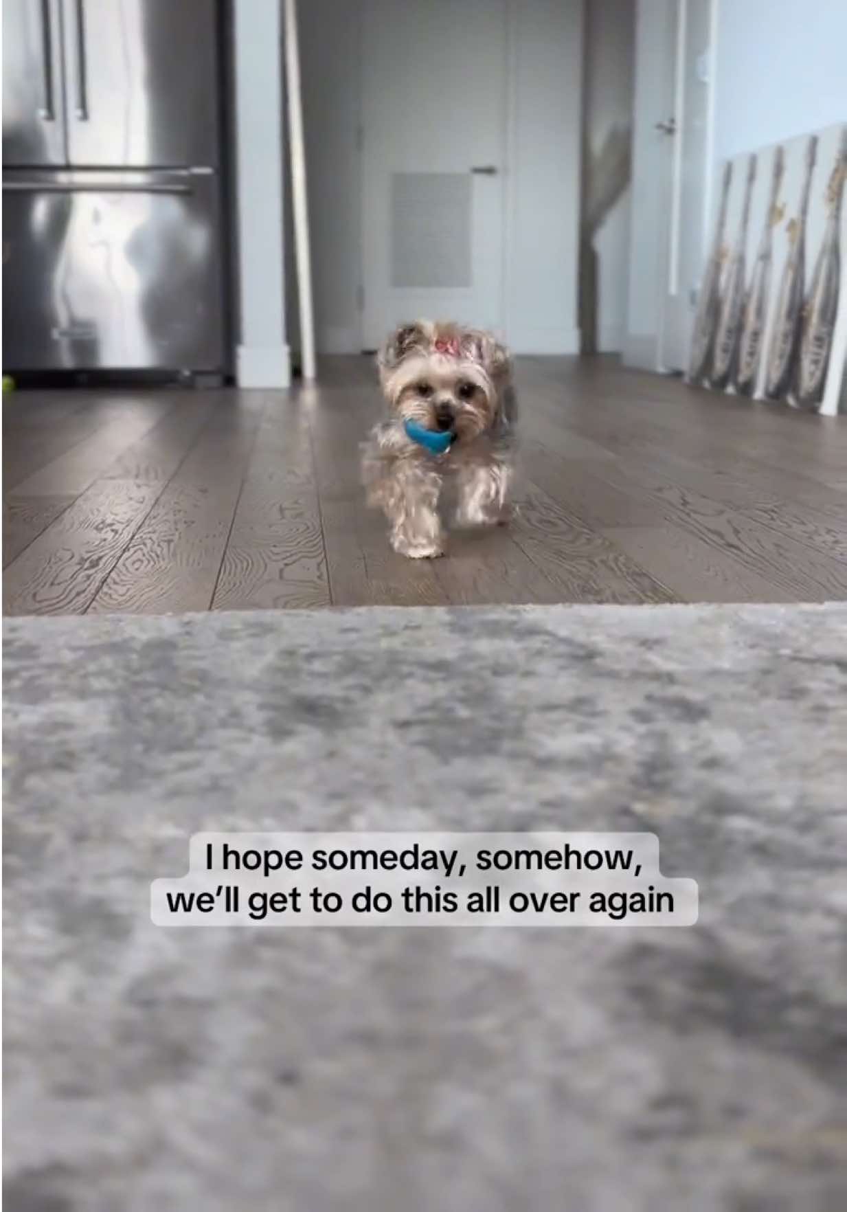 @Angela Babicz