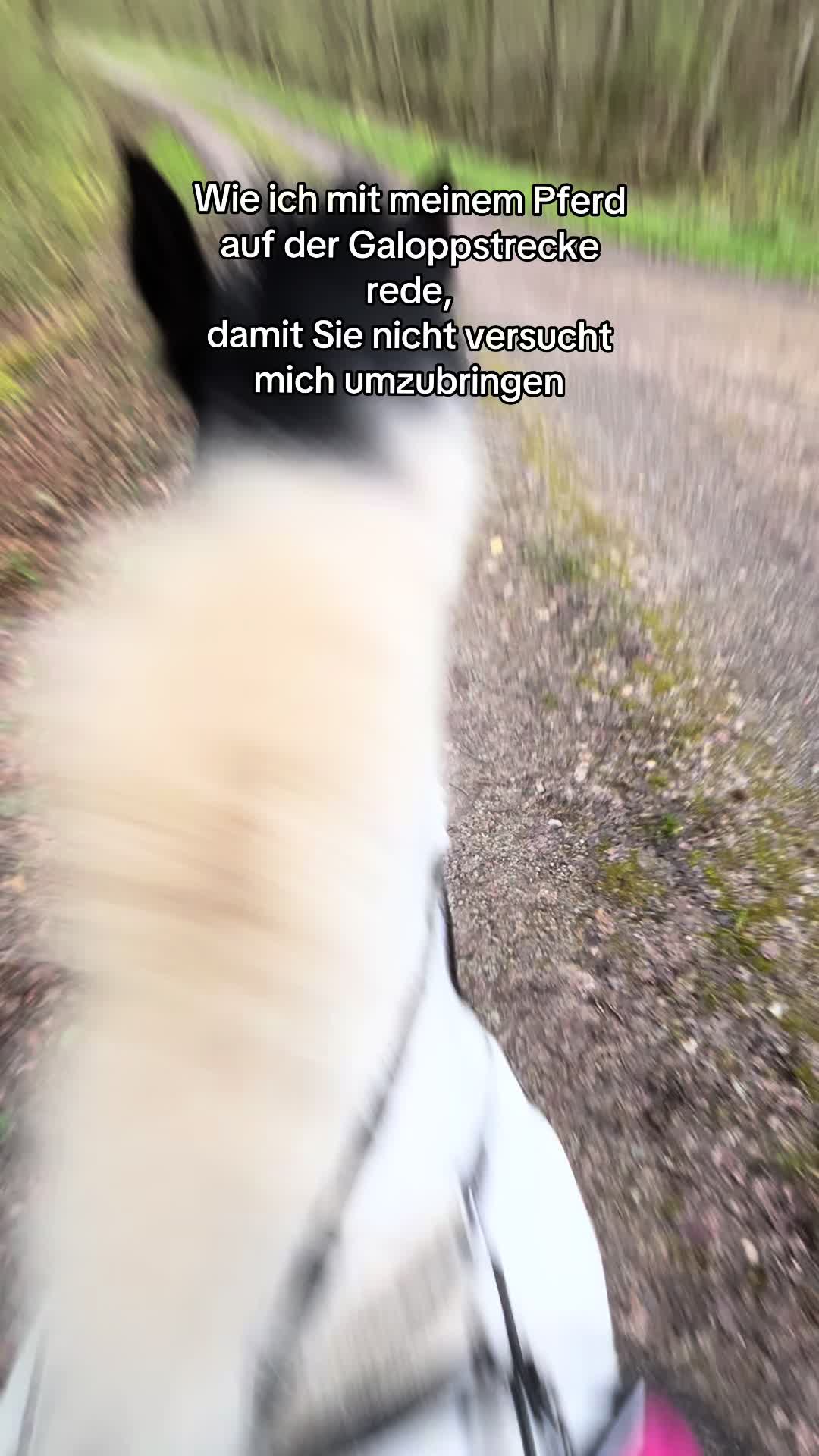 @julygaer