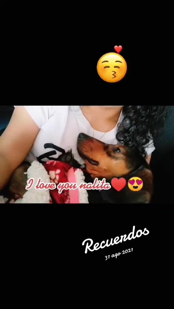 @nalev😍