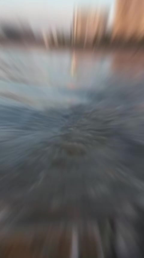 @moti7045.