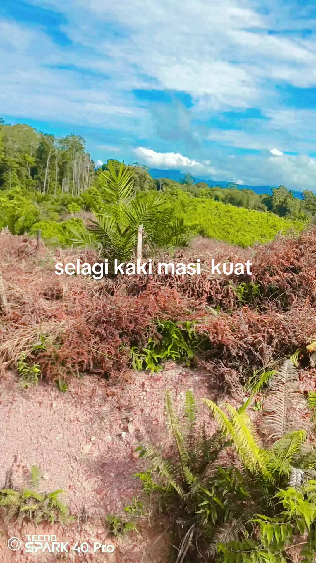 @Caesarius25