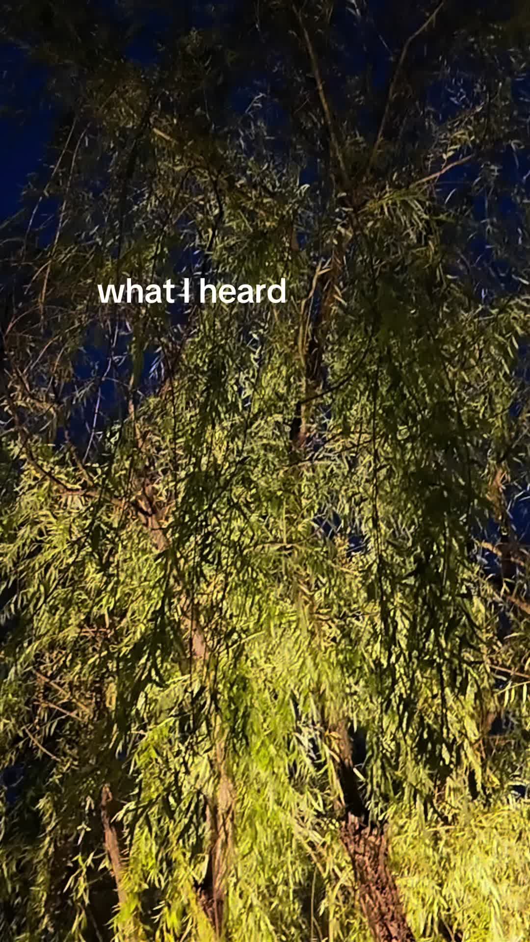 @Ruth