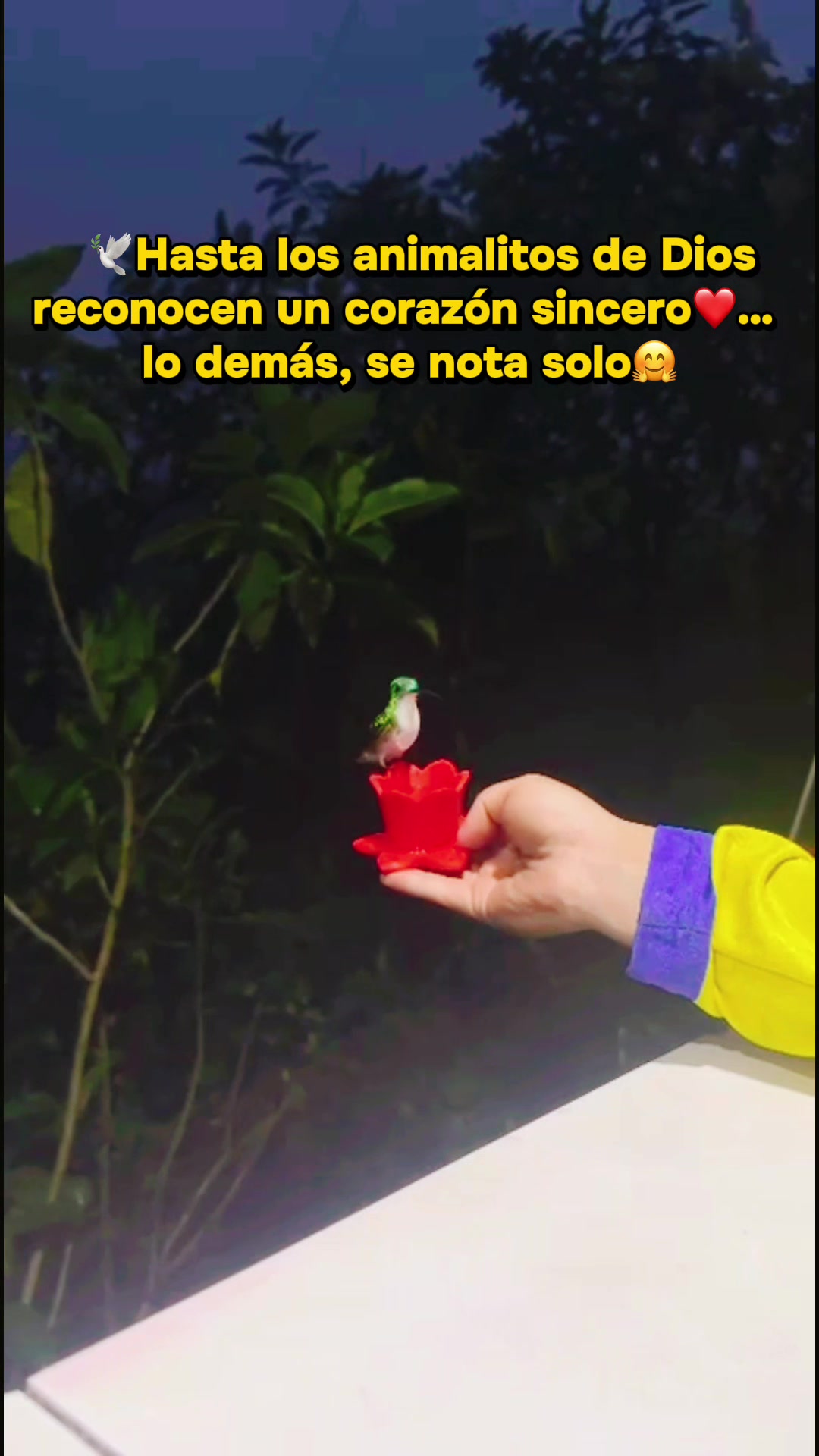 @Las Morlaquitas