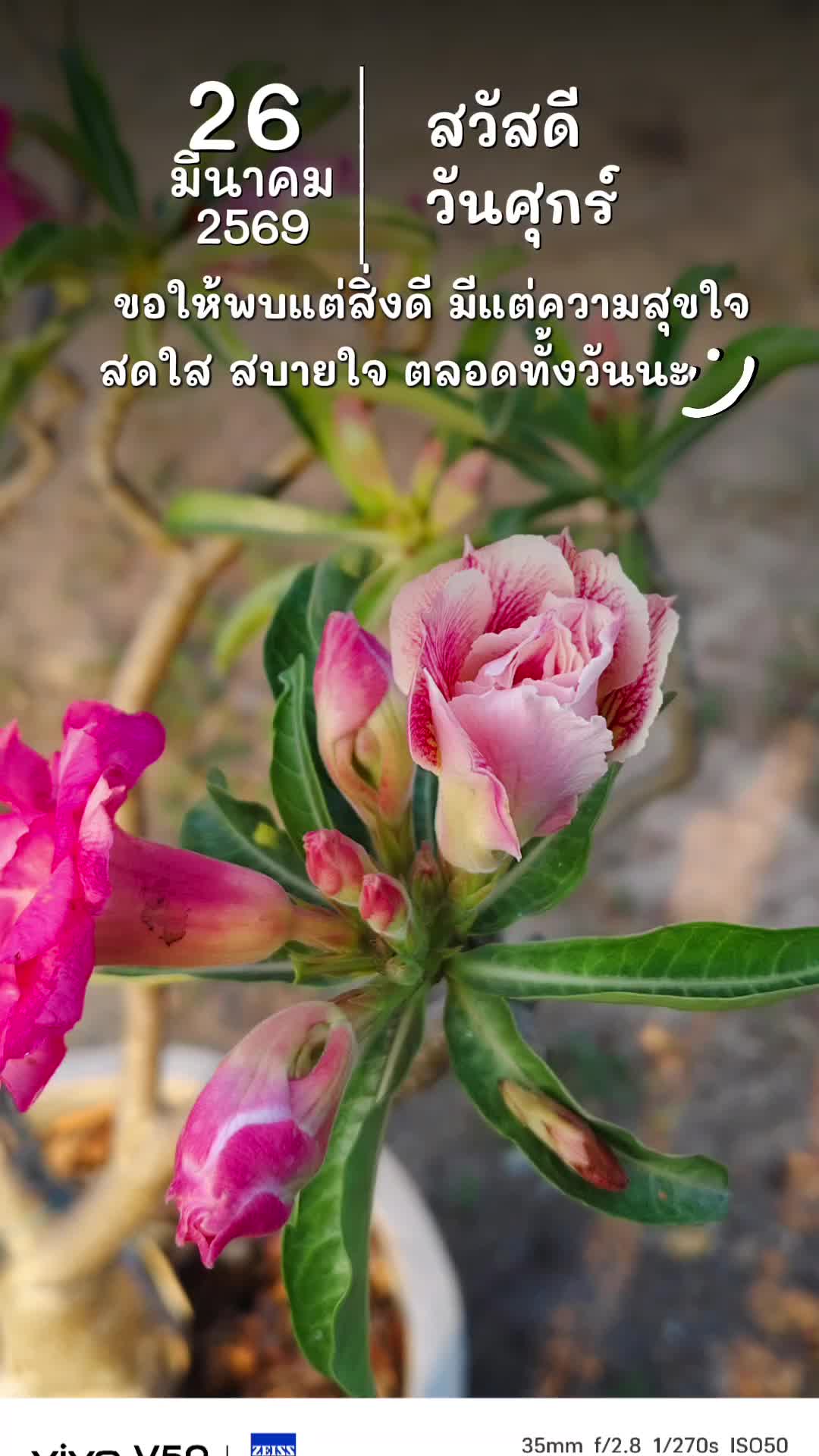 @อิฐ Love💕💕🩷🩷