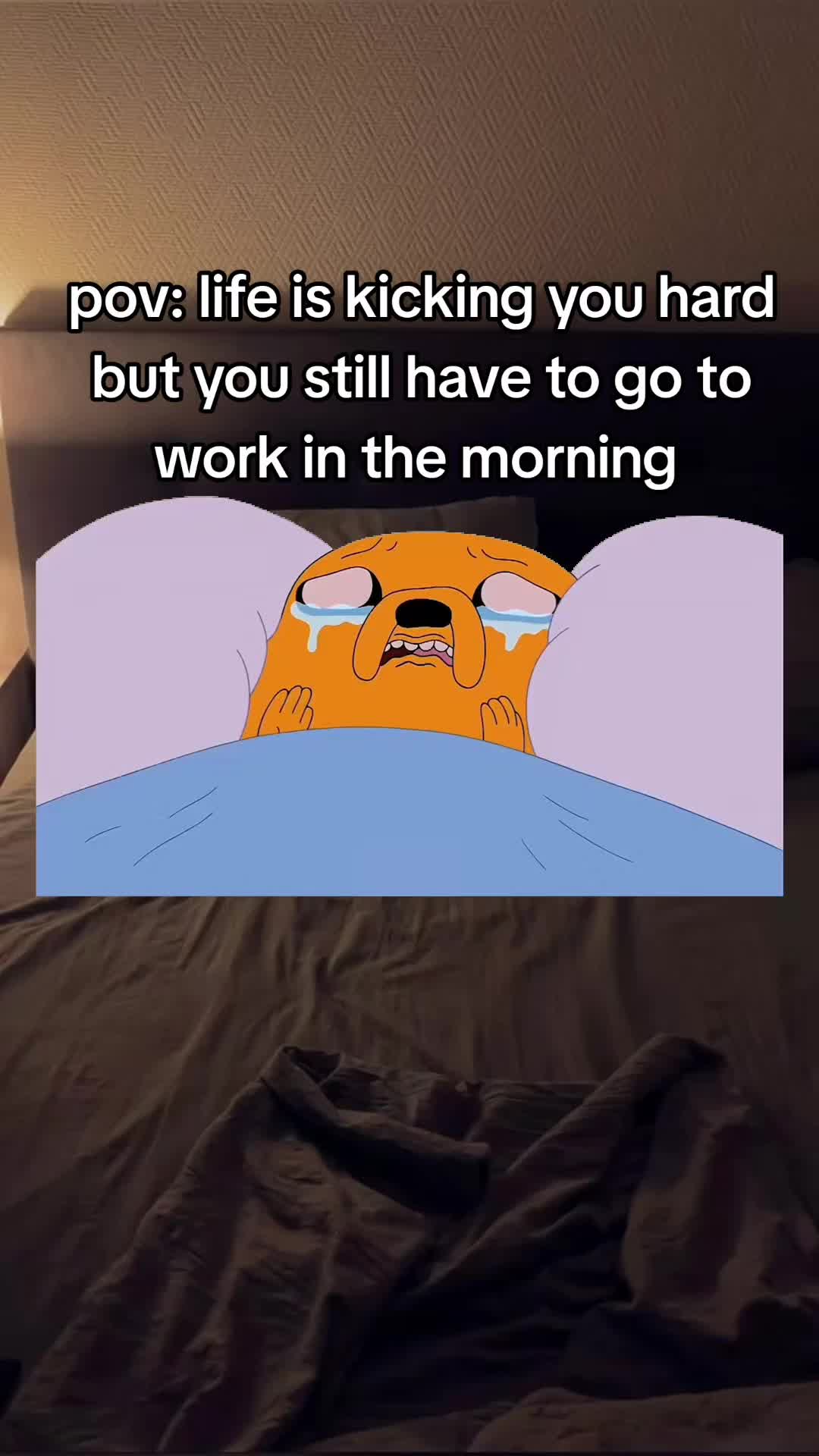 @Just Memes