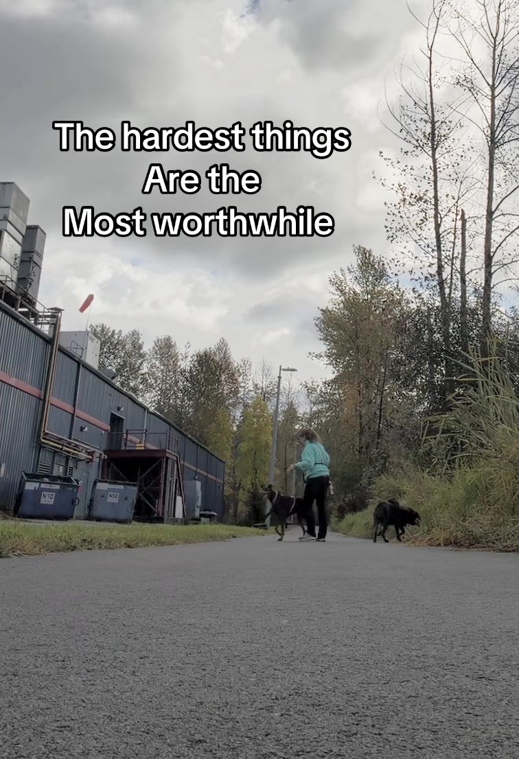 @Luna The Doberman