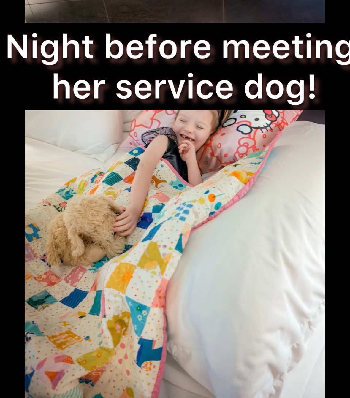@Adventureswithmoxie