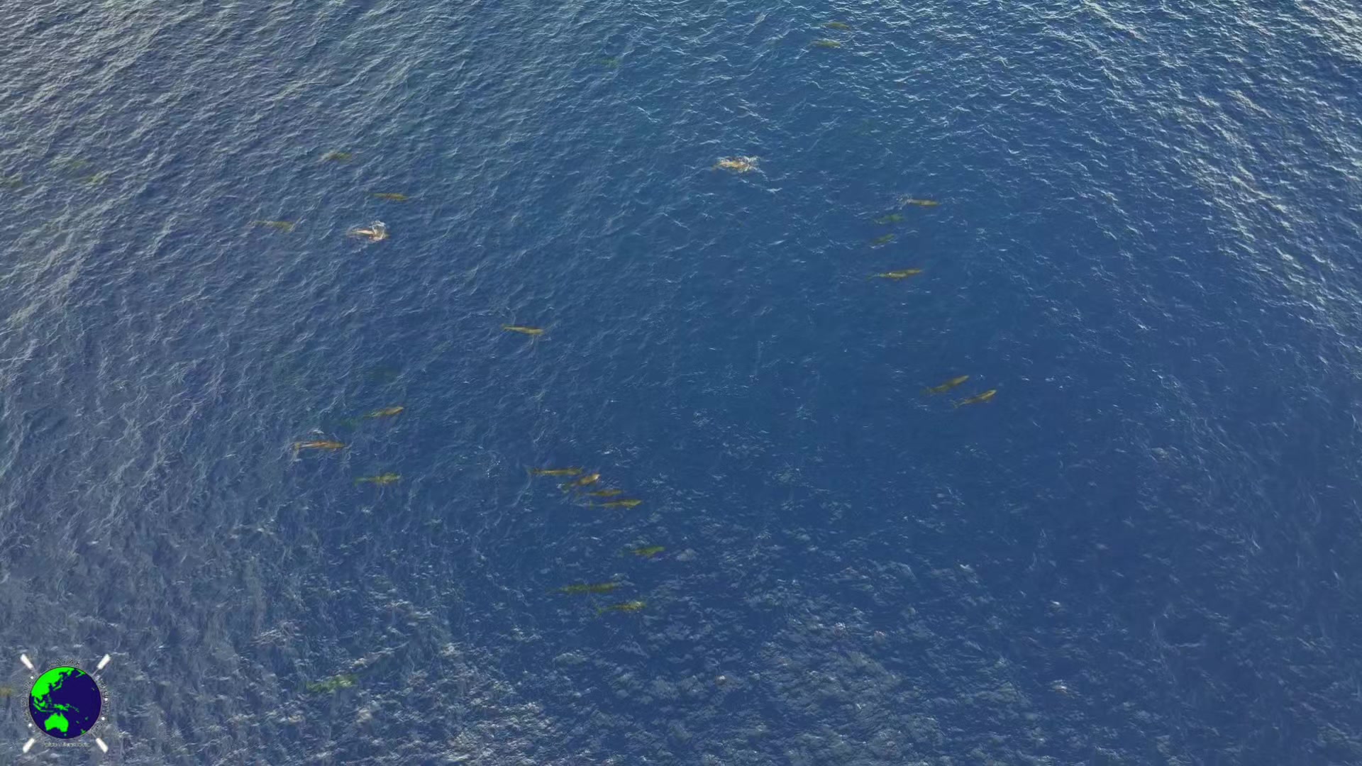 @Paddling Palau