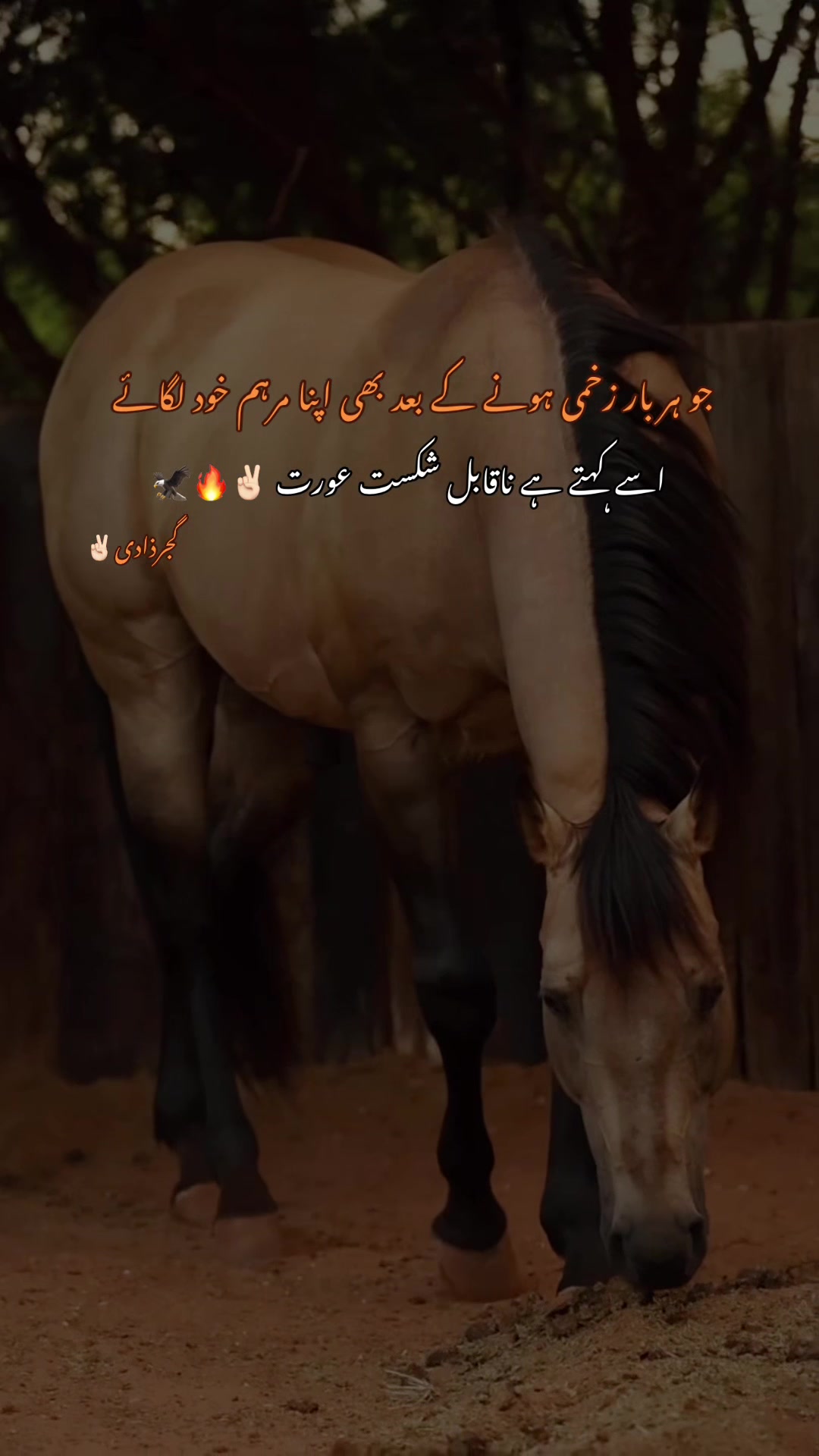 @گجرذادی✌🏻