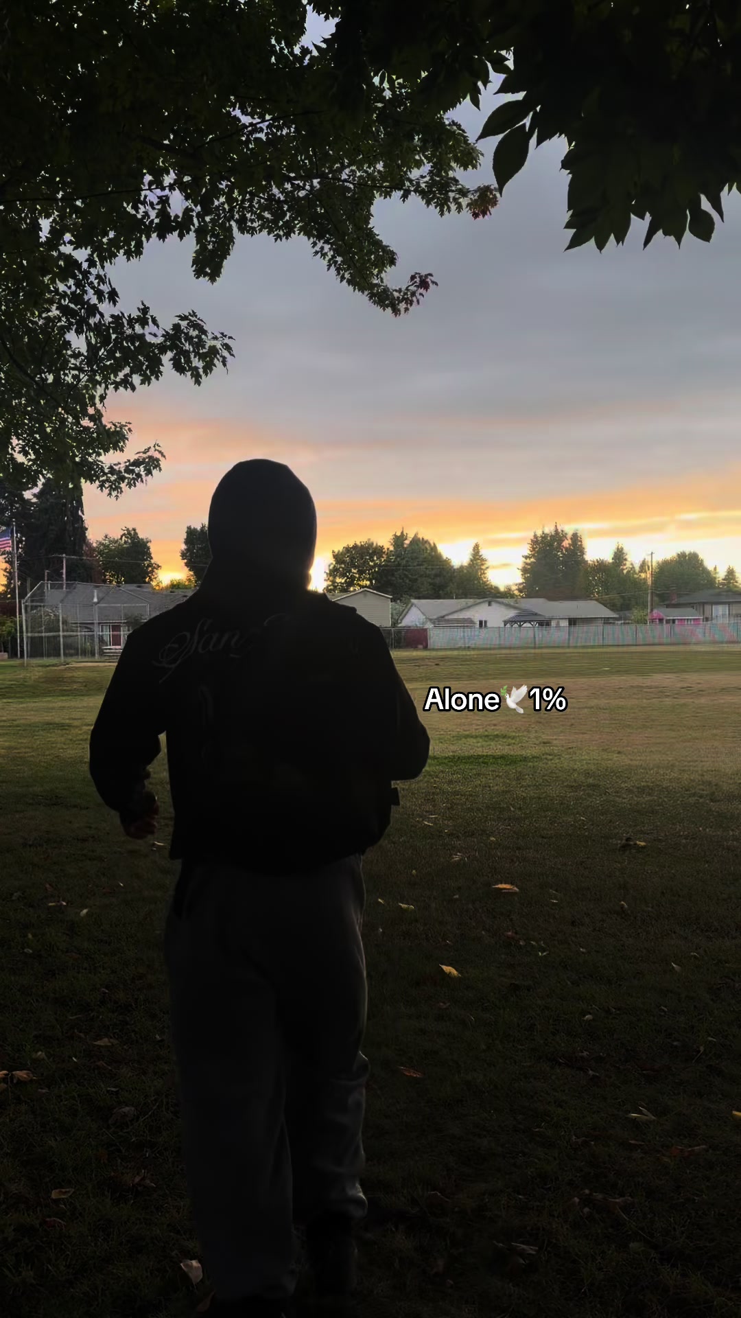 @Motivación Delfino🥷🏼🫵🫶🔥