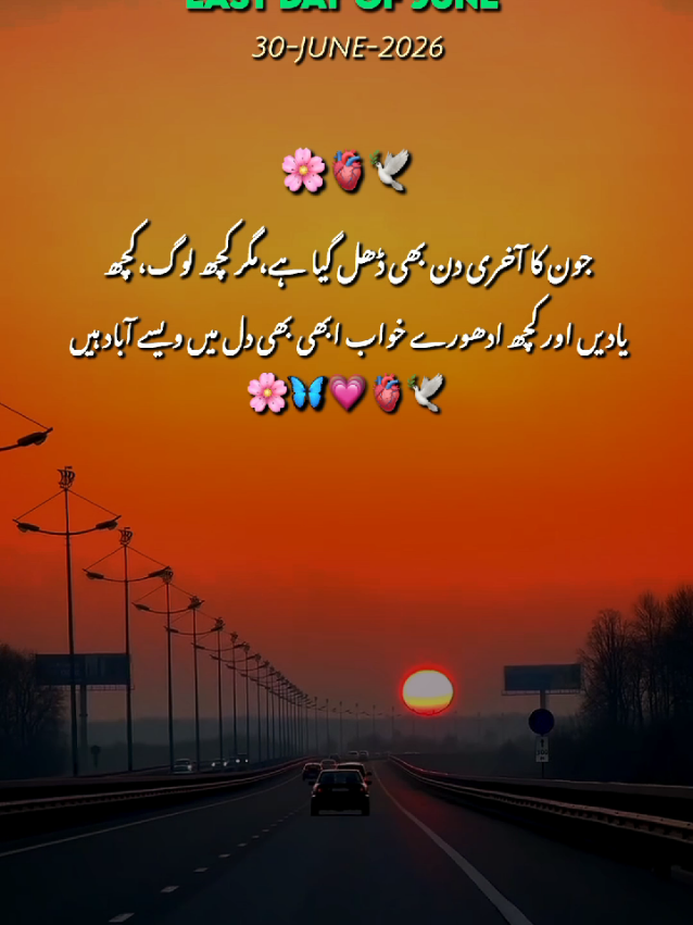 @Arooj 🦋🌼