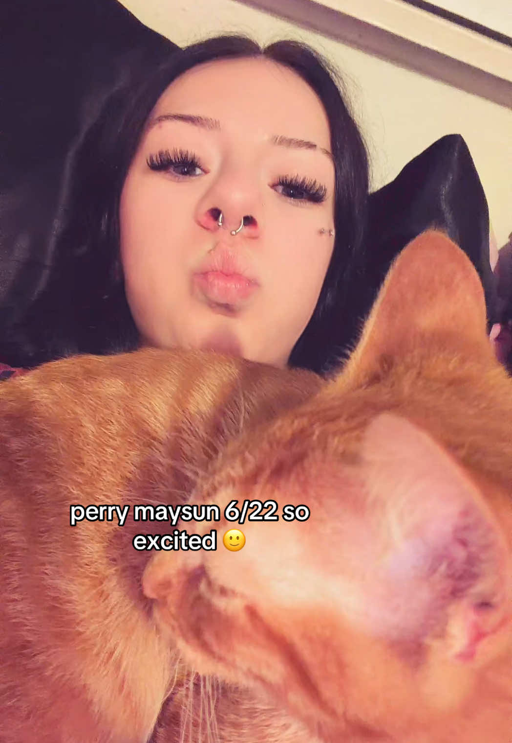 @gatolife2016