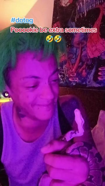 @B.O.E.Feenyx420