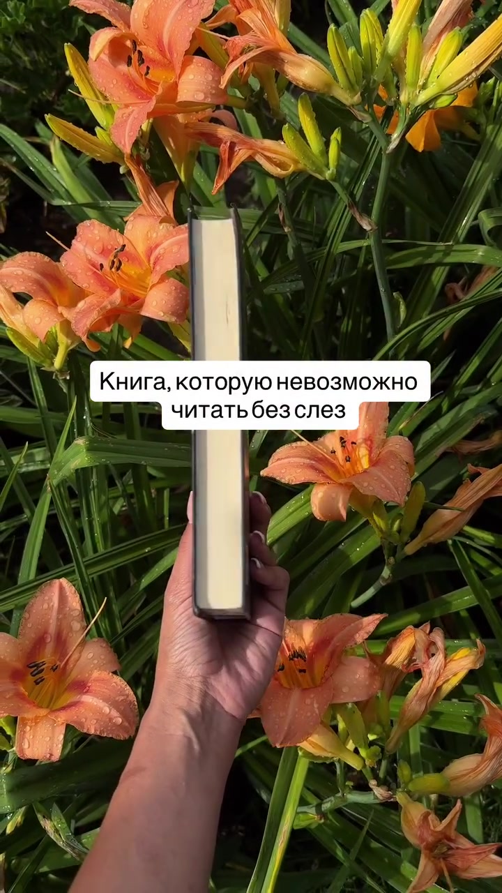 @Книги