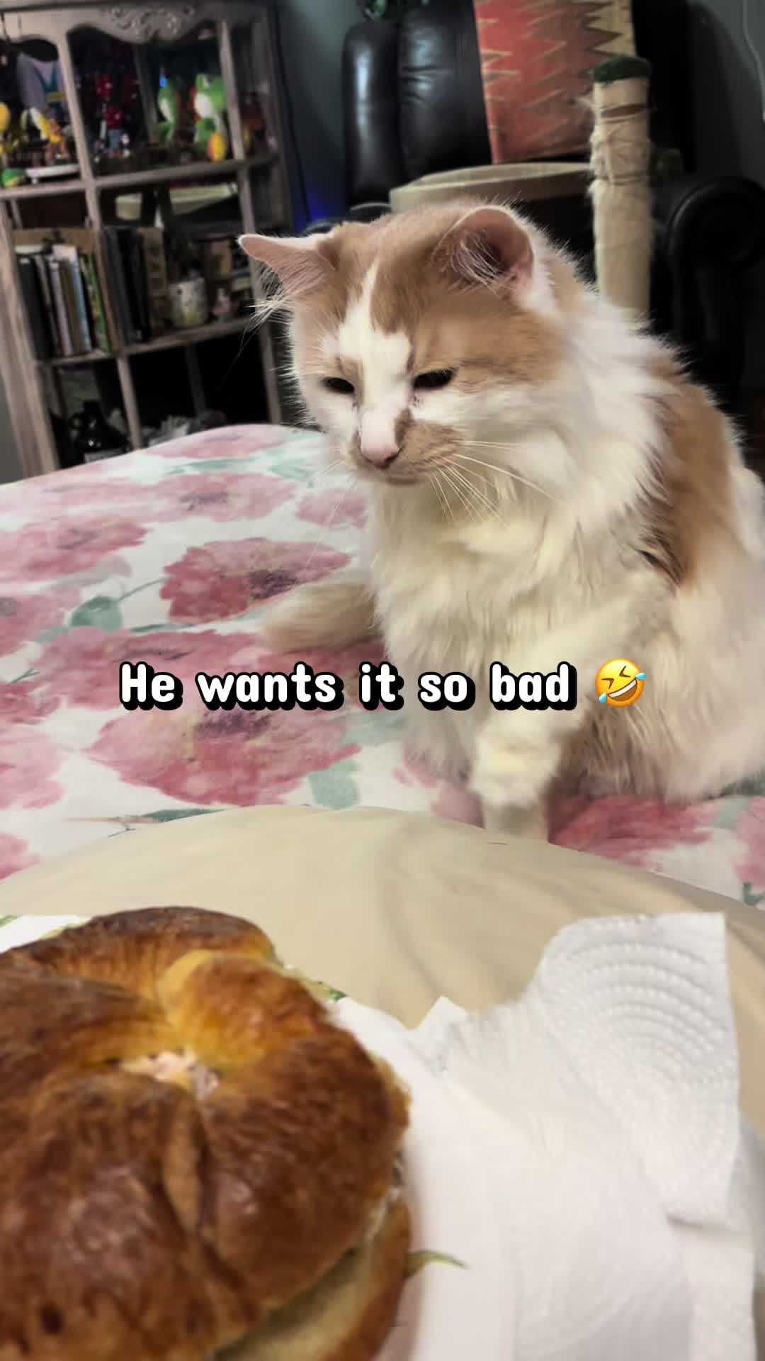 @oakleyhugs