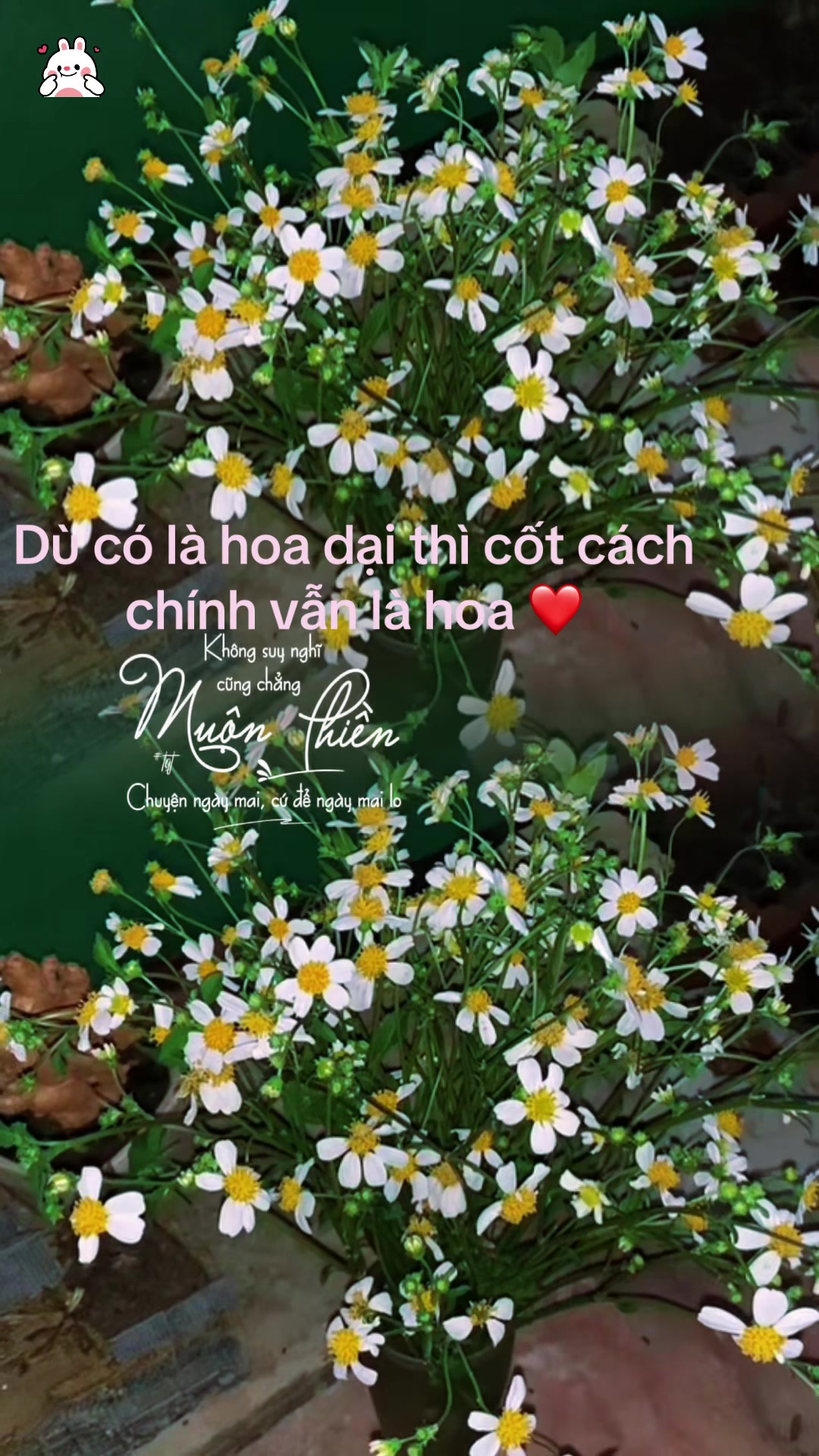 @N.T.H.1.9.9.6 ❤️