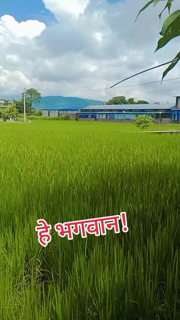 @Digitalmuskan