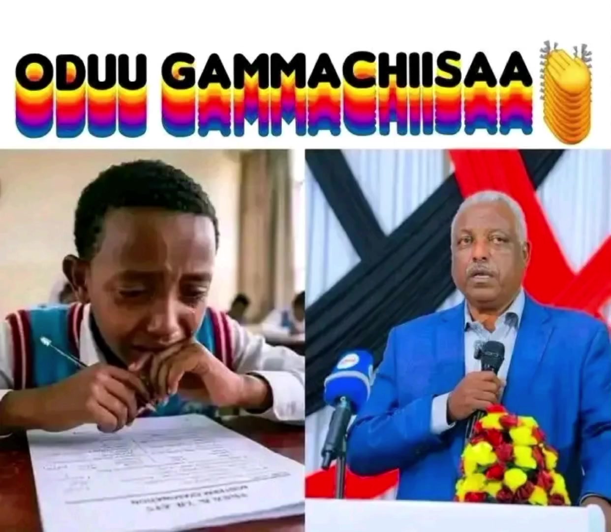 @Gemta