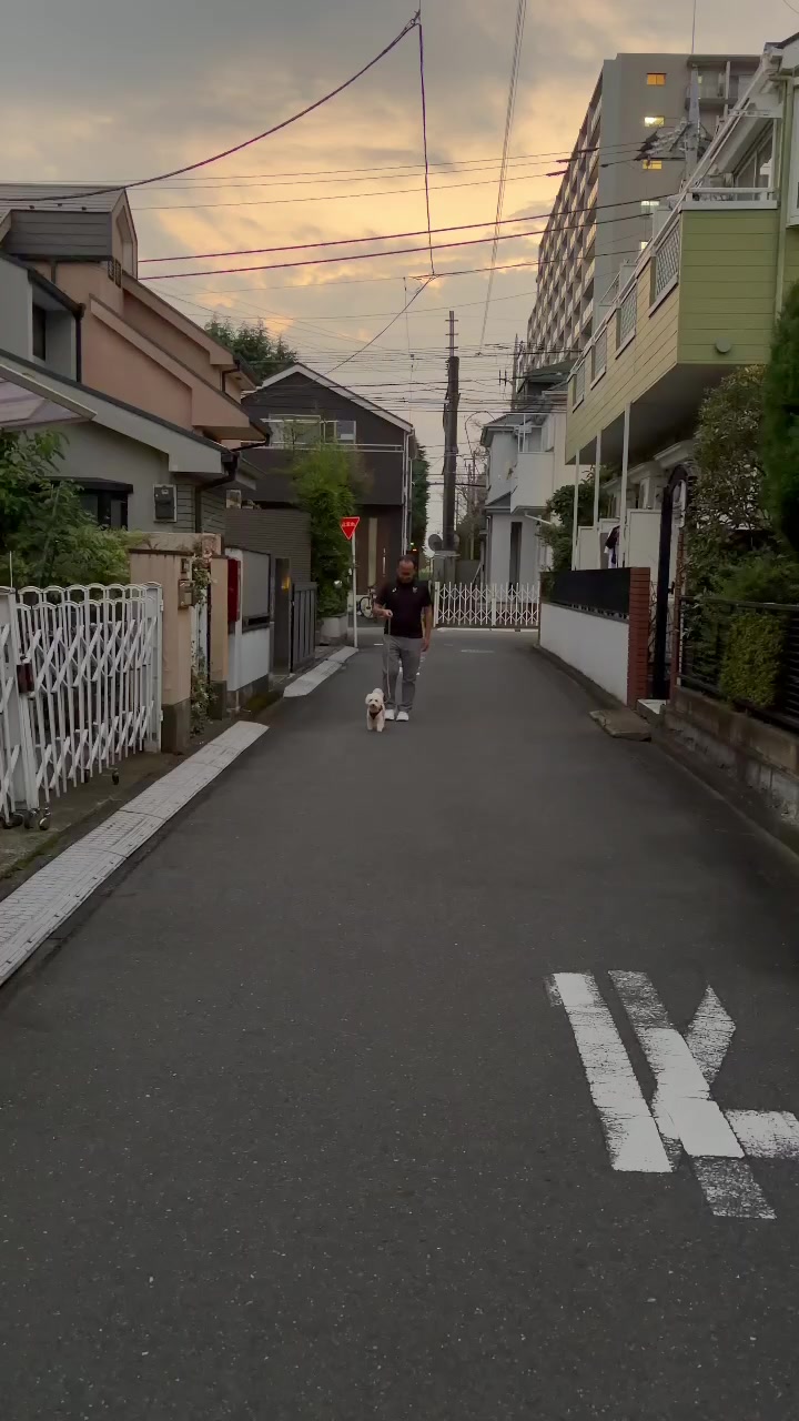 @橋本こうじ/小平市議会議員