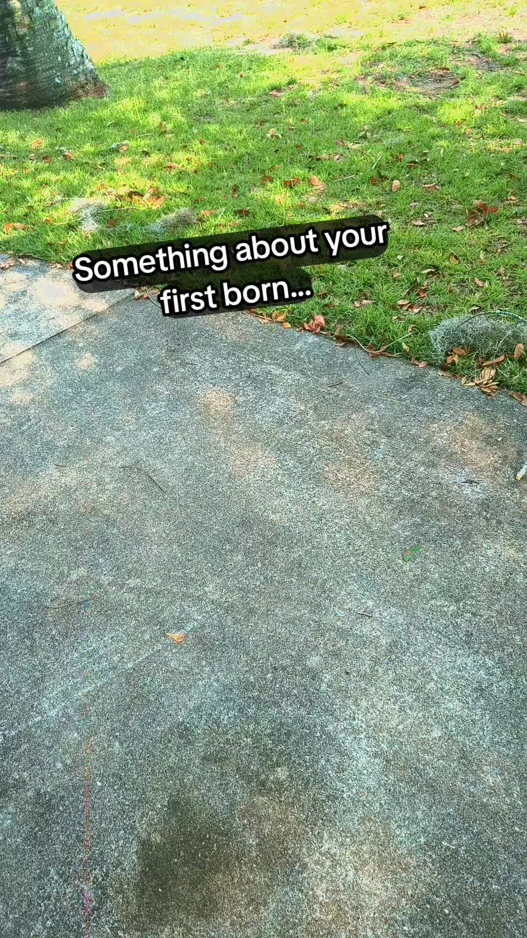 @TMAC❌️ tammymcconnell76