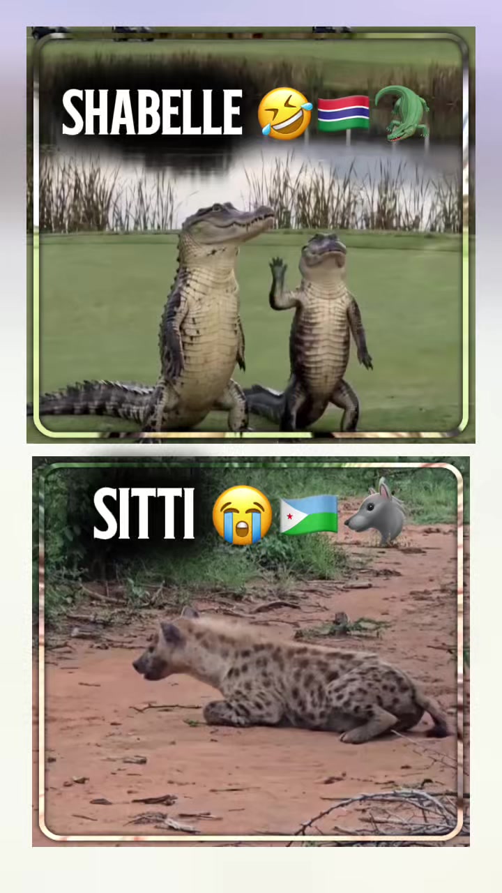 @๐๐ฎ๐ด๐ฑ๐ต๐ฒ๐ฒ๐ฟ ๐๐๐ญ๐ฌ๐ฒ ๐