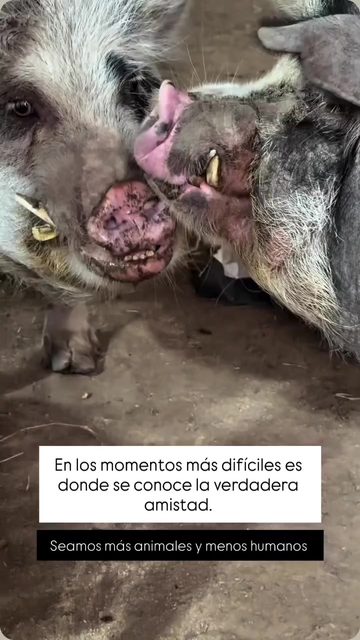 @Vero Orzábal