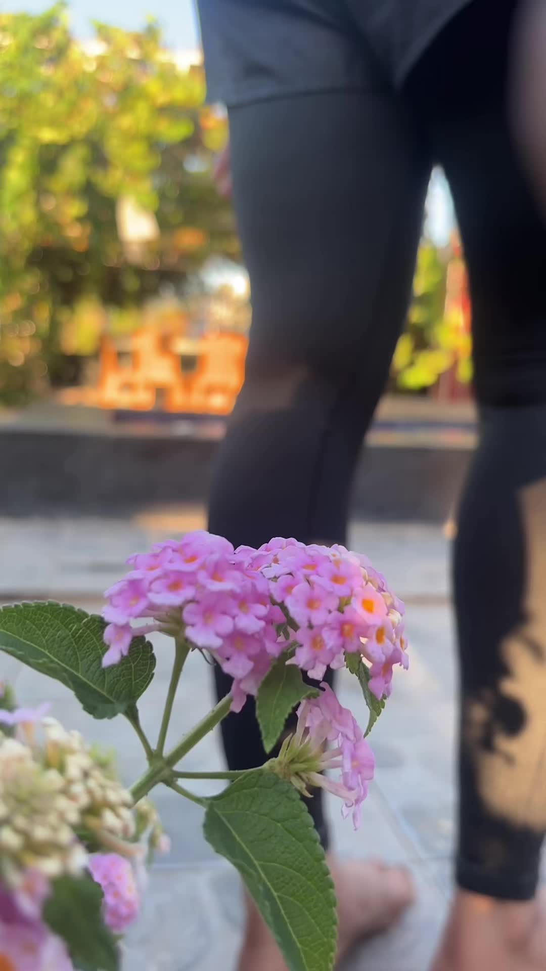 @Dh3ny