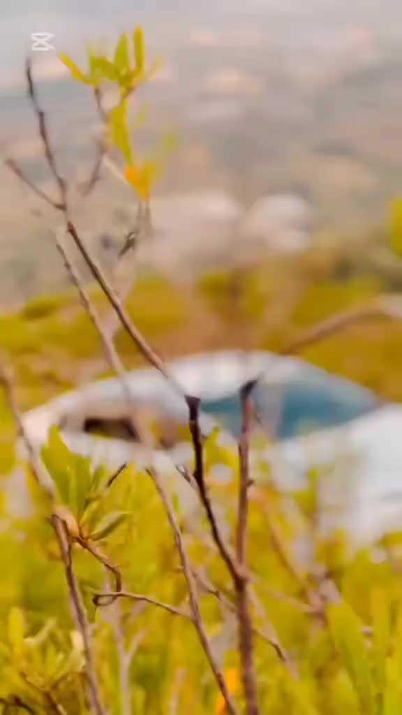 @ᕼᗩᖇᖇY👑