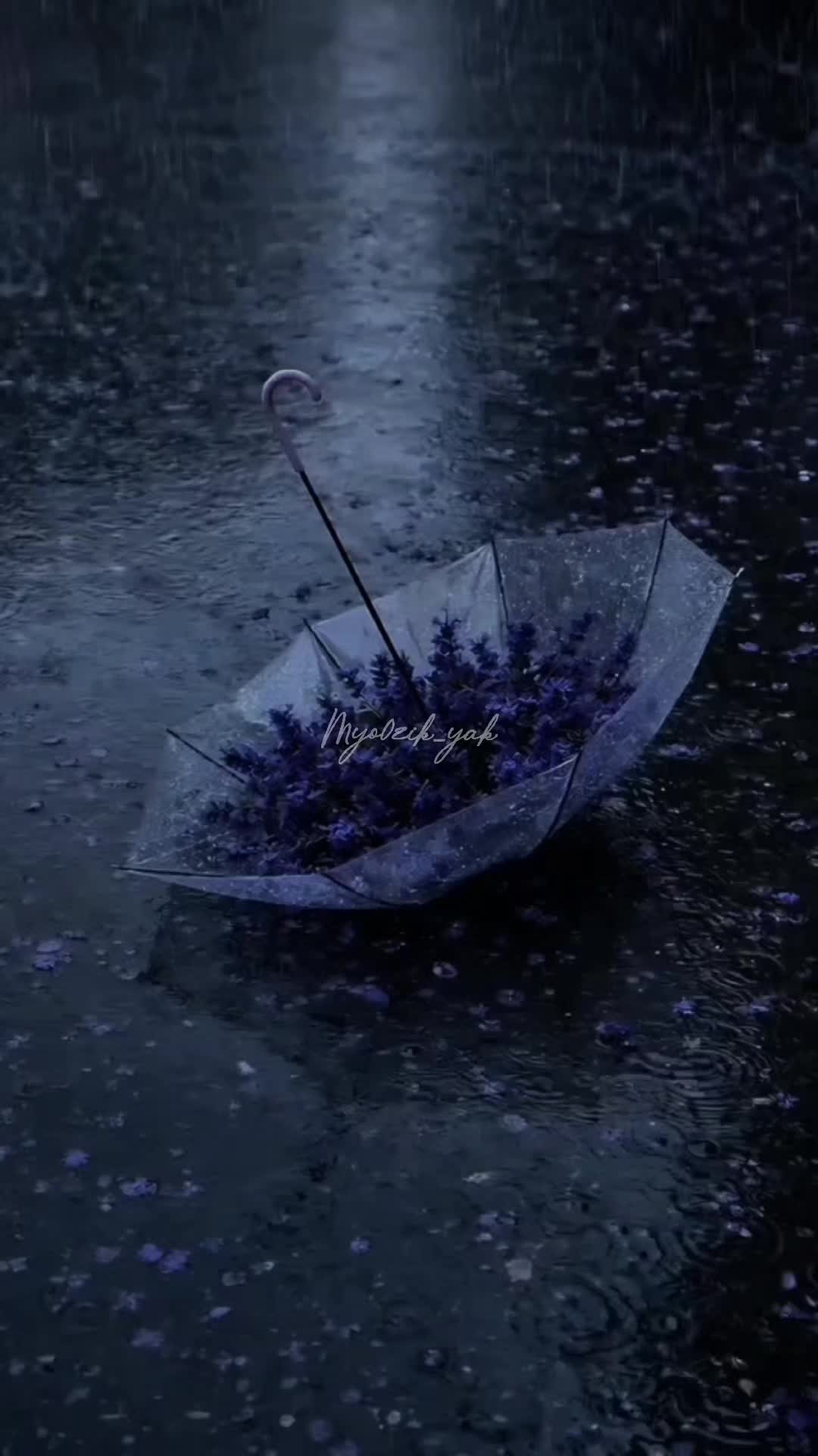 @ꪑꪗꪮ੦ɀỉƙ_ꪗꪖƙ ♪♫♬ 🧬