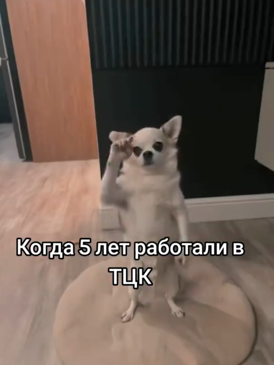 @Konstato