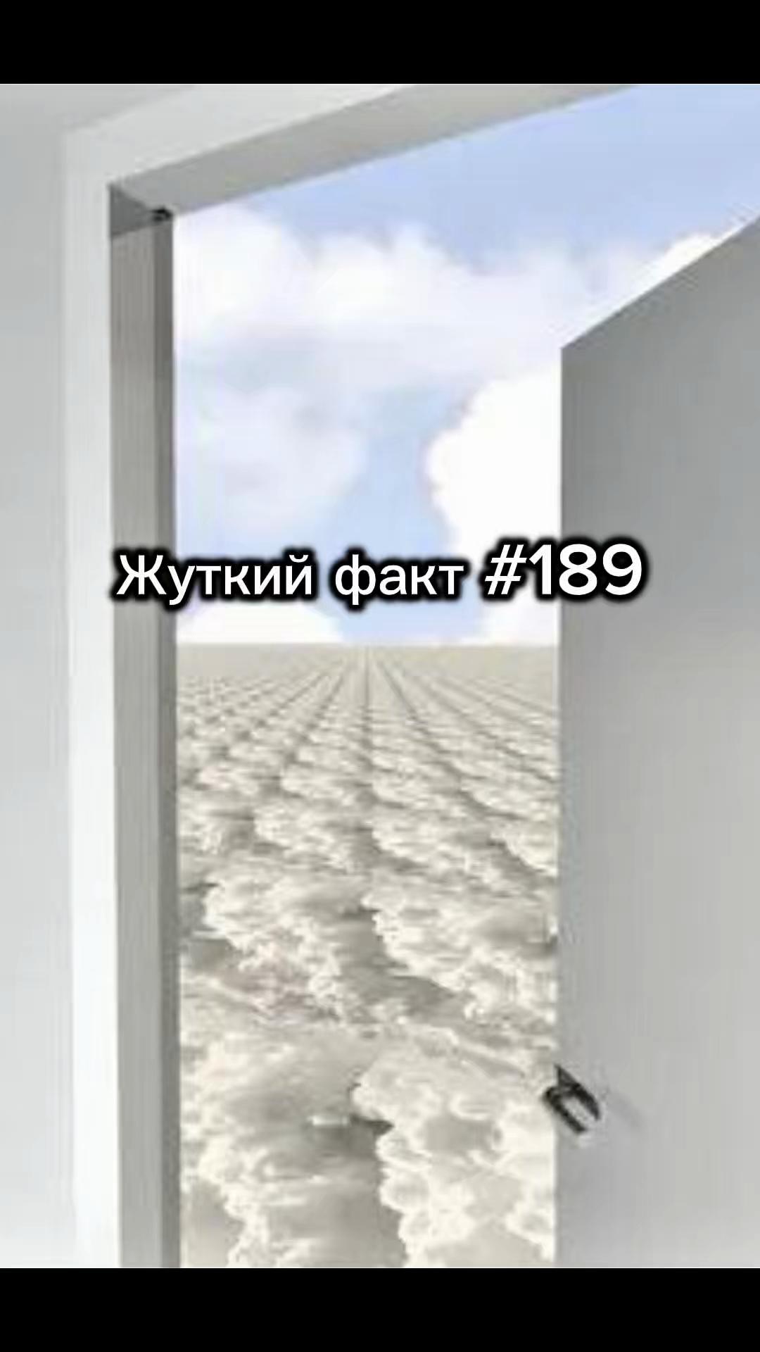 @darkwhispers