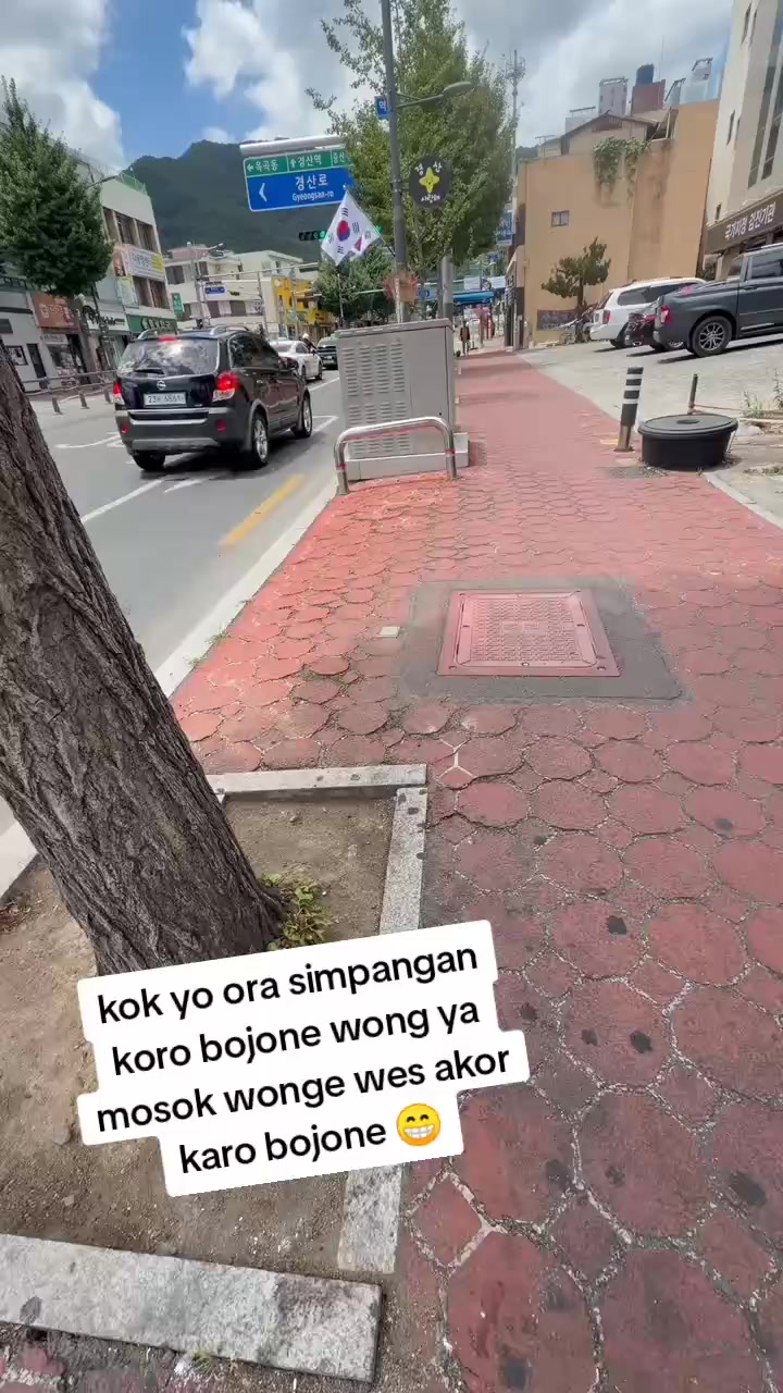 @Aleek 🇰🇷🇮🇩
