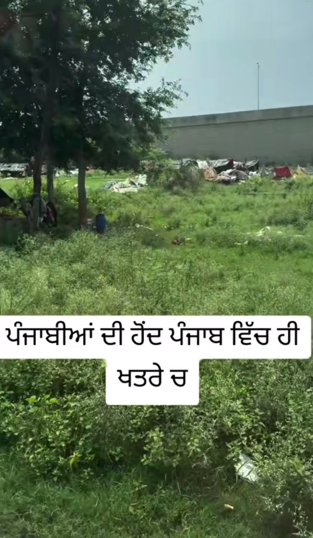 @globalbaba07