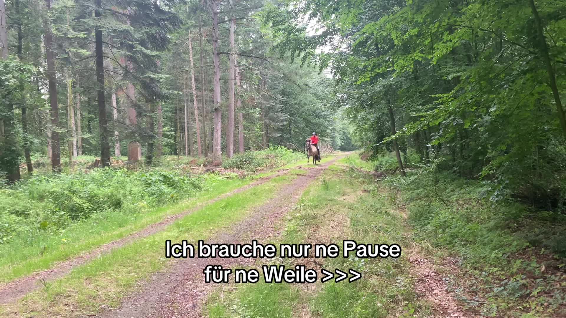@Háli<3