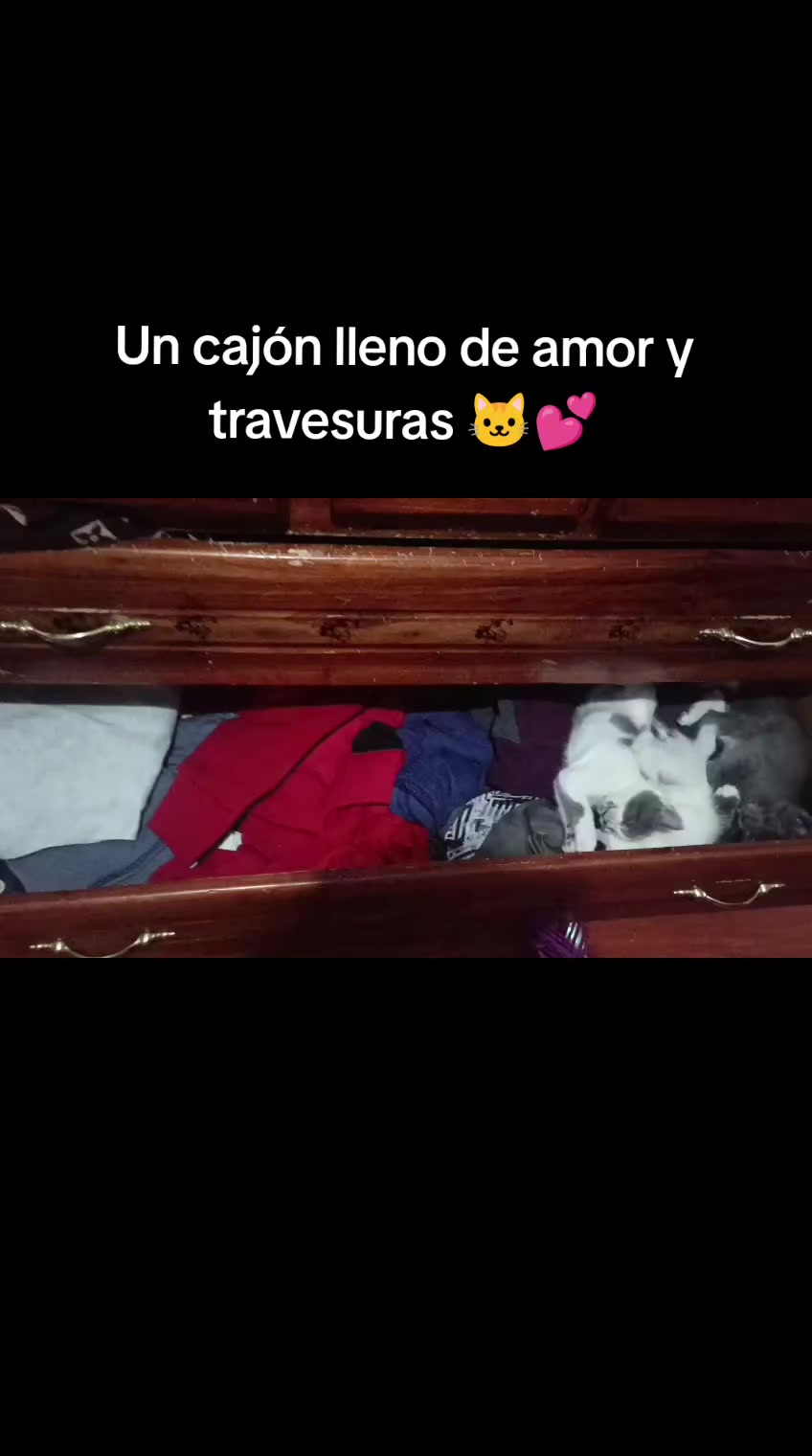 @Merceditas