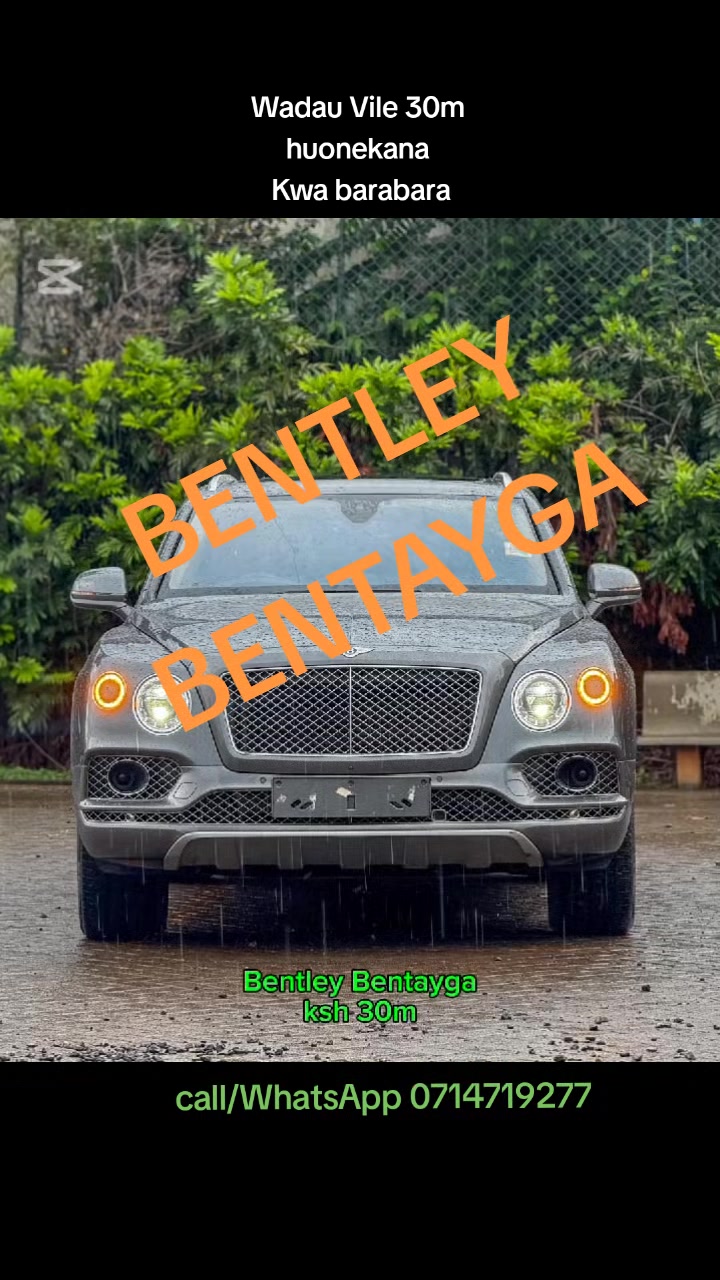 @JOLYD motors