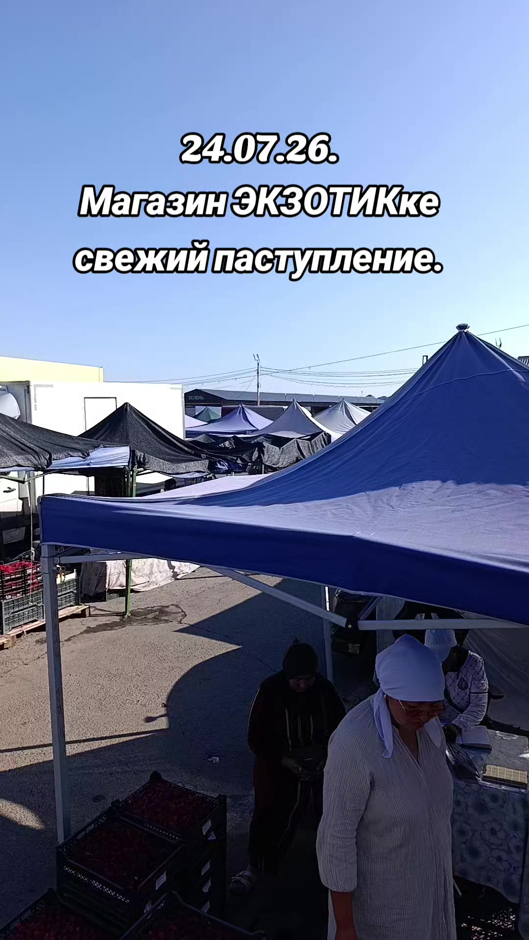 @ЭКЗОТИК ҚАРАБУЛАҚ