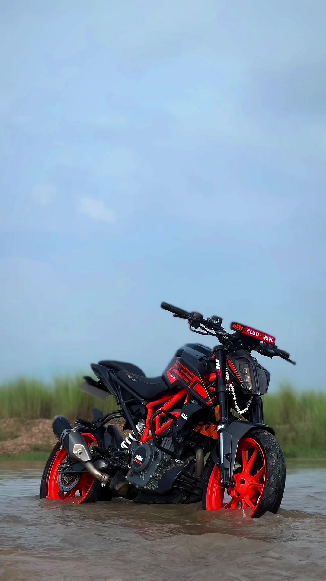 @ＴＯＲＱＵＥ_２５０ 💀