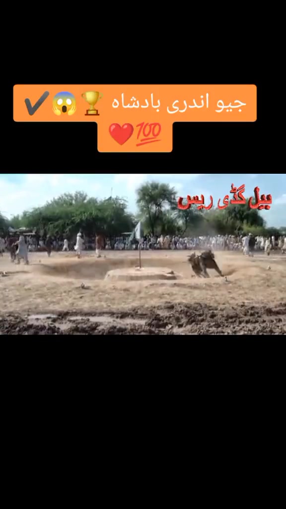 @Sohaib Randhawa