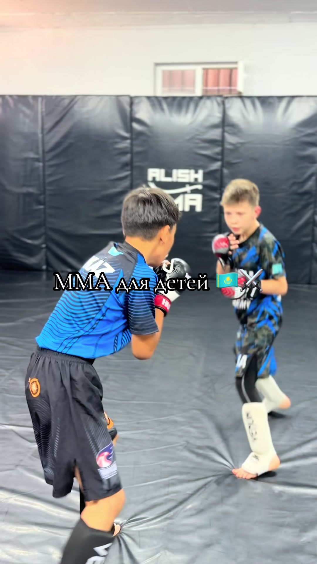 @ALISH MMA