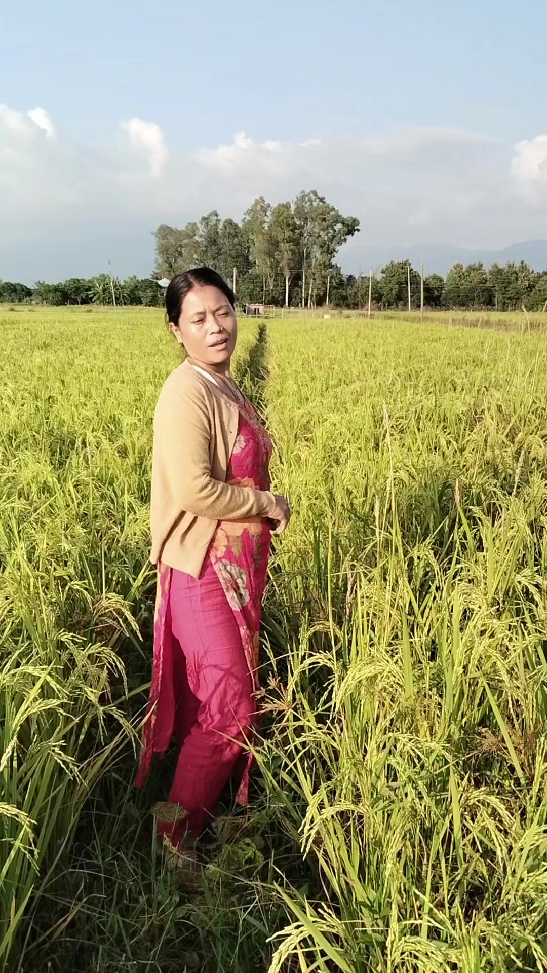 @Jharana Gharti:-♥️Dangi👪
