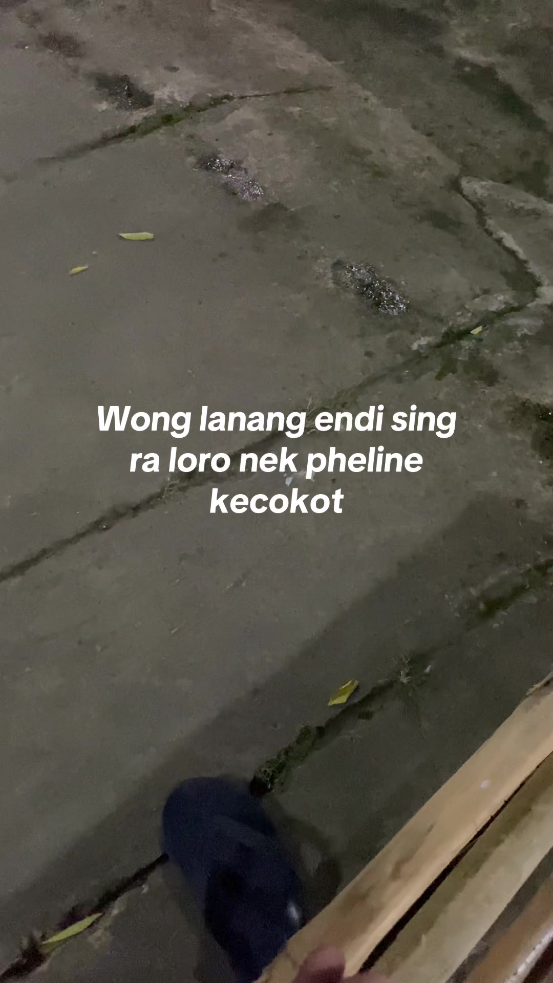 @Trafalgar D. Water Law