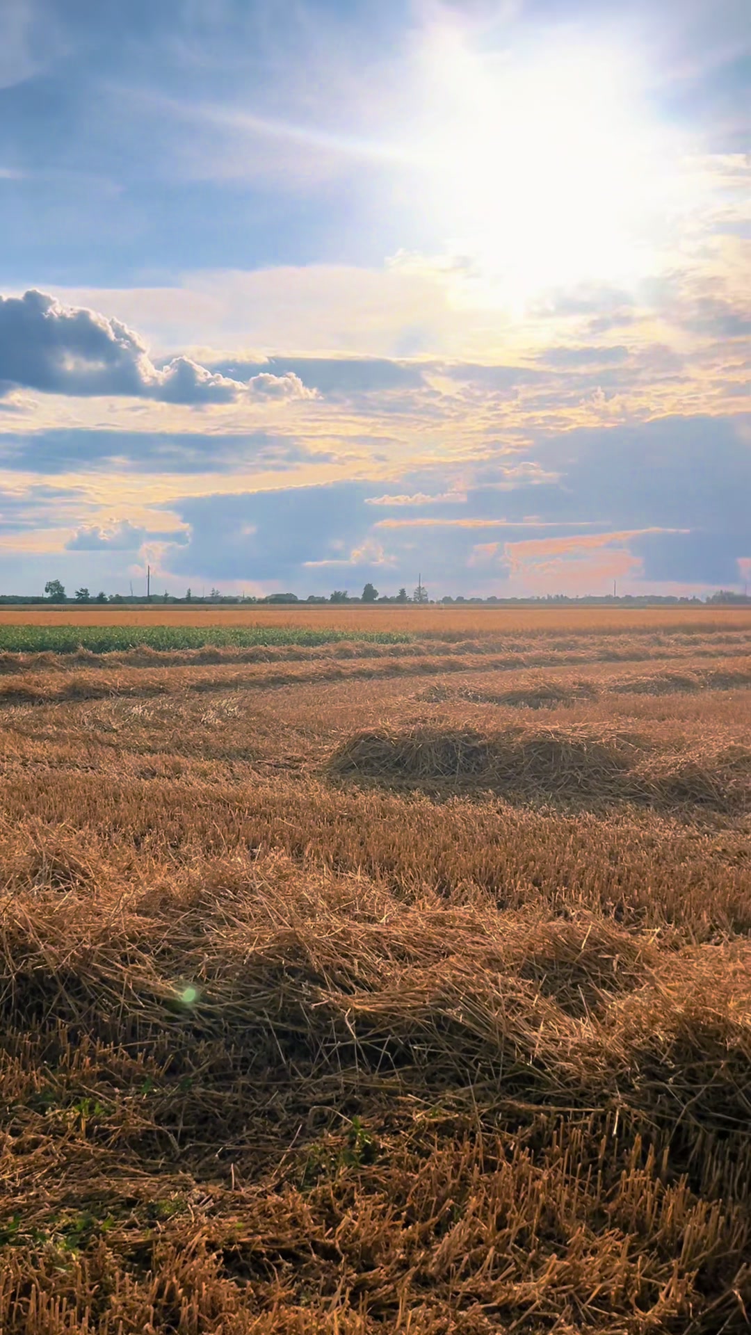 @Наталі🇺🇦💙💛