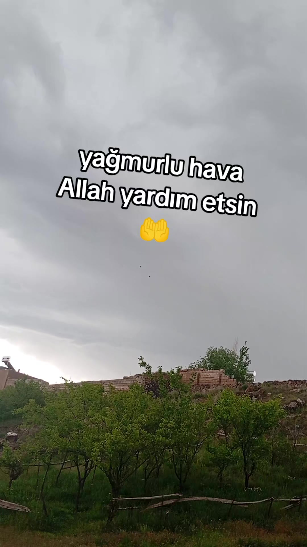 @bazidli adem04