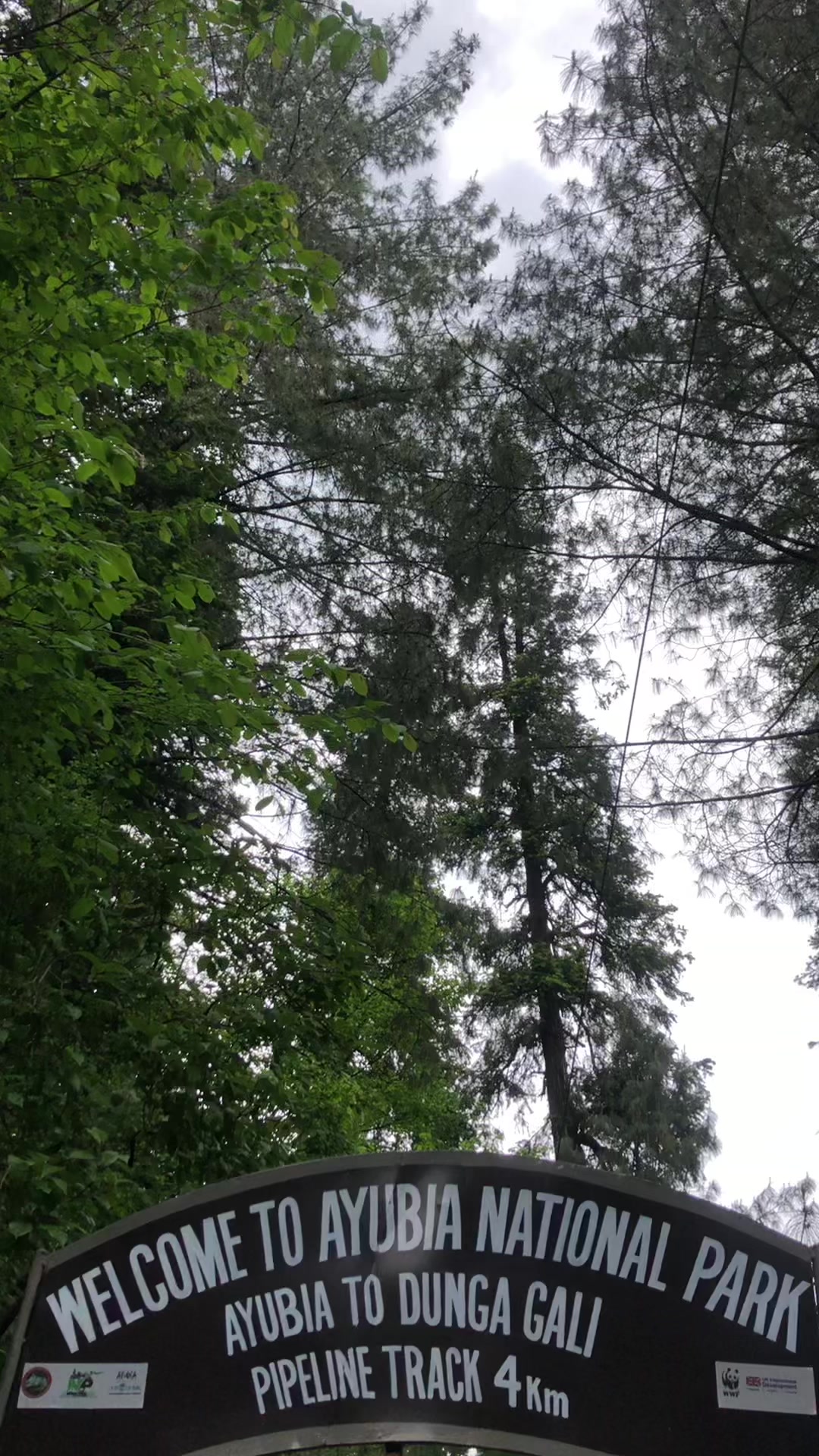 @ایوبیہ🌸