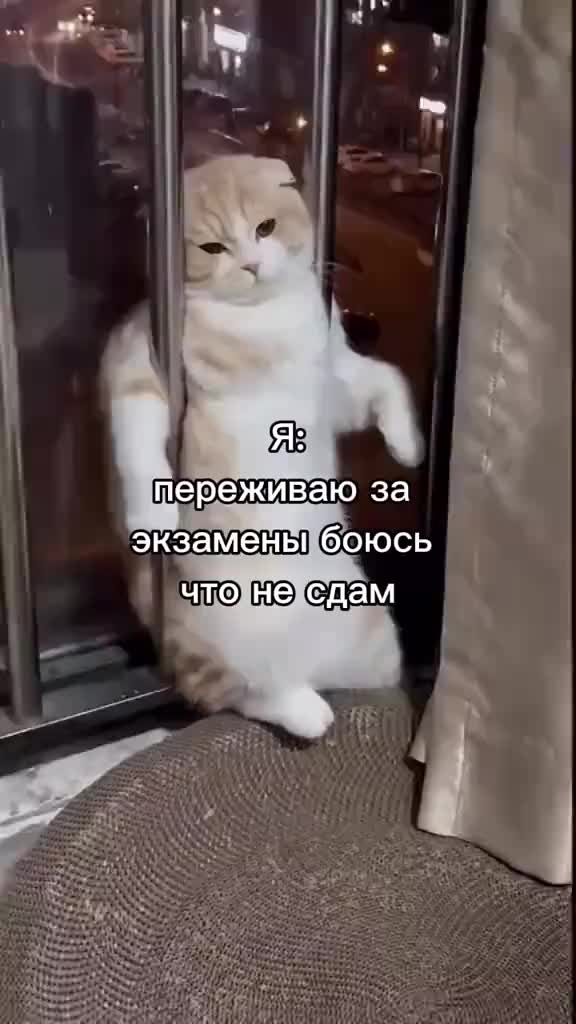@💫🖤만두 🖤💫