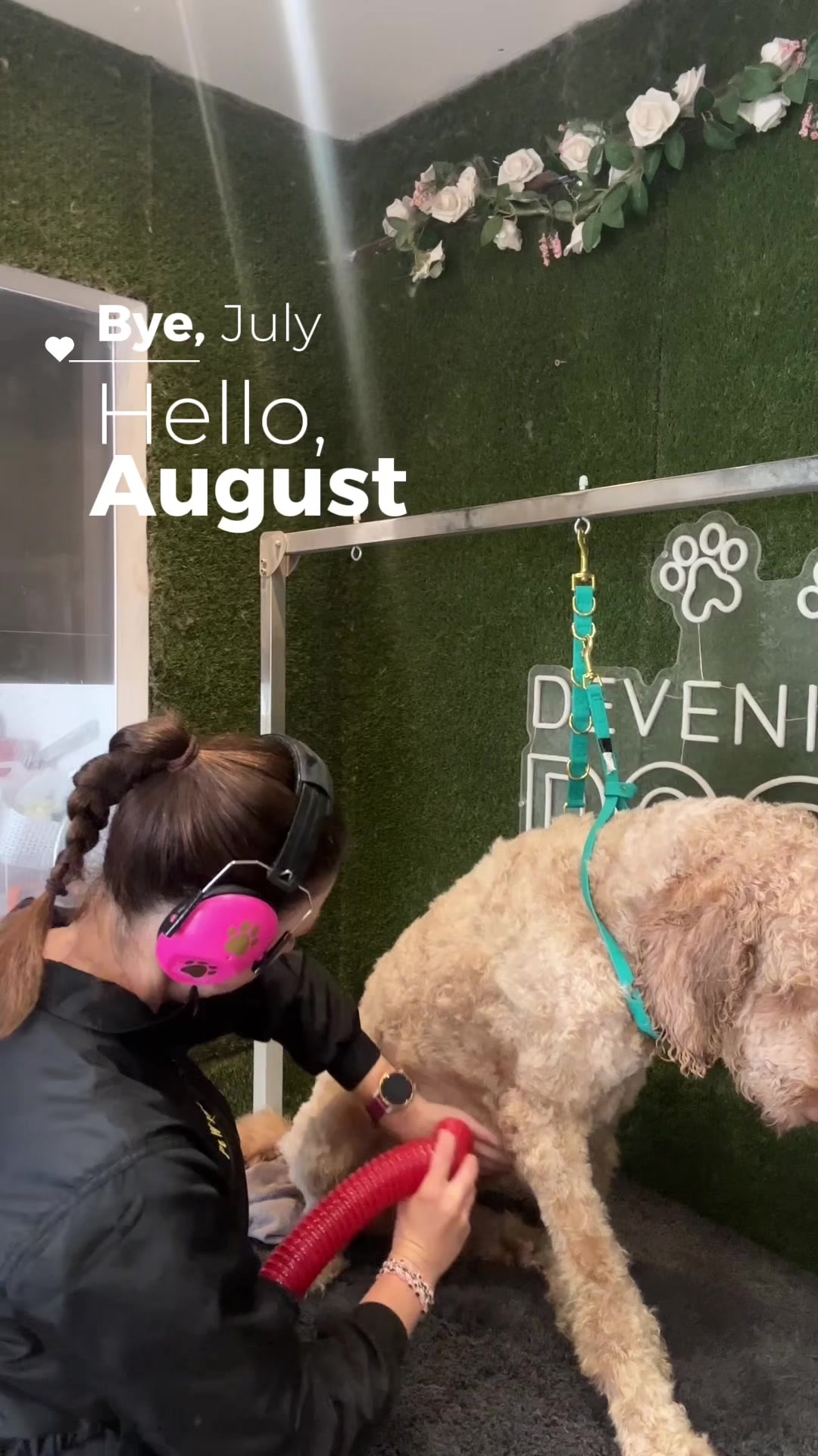 @DevenickDogs