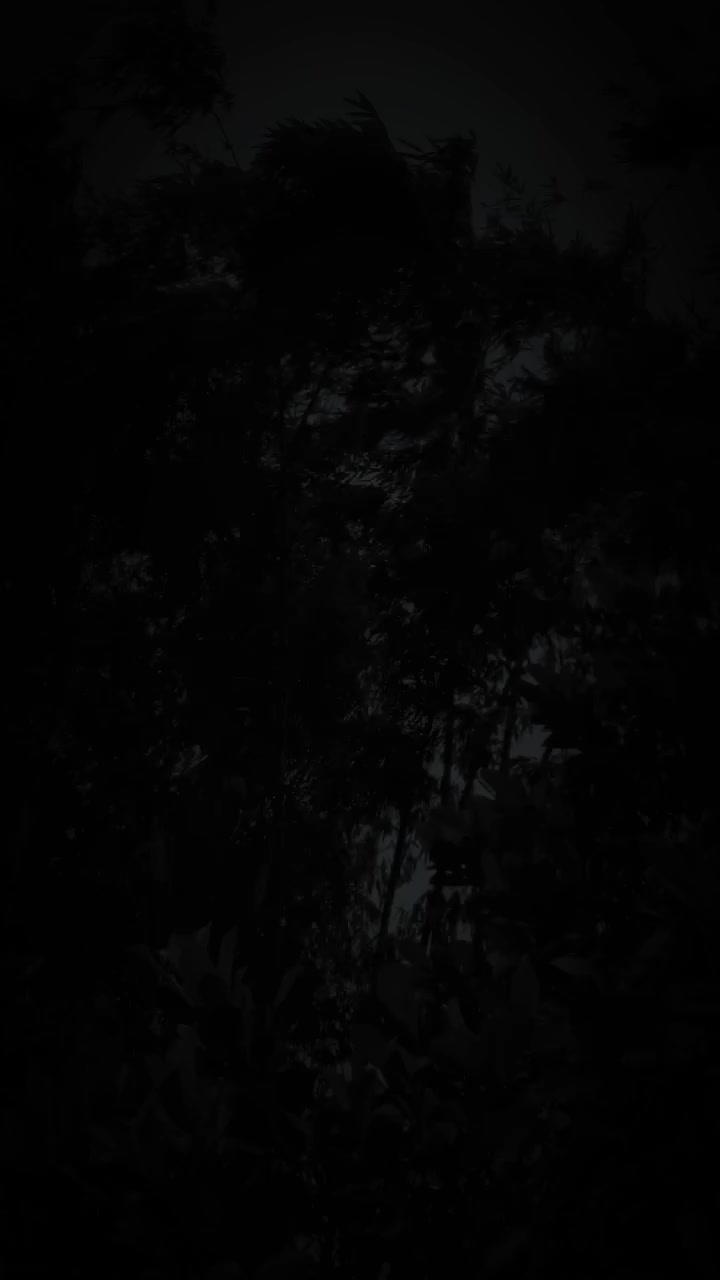 @Story_94🎭