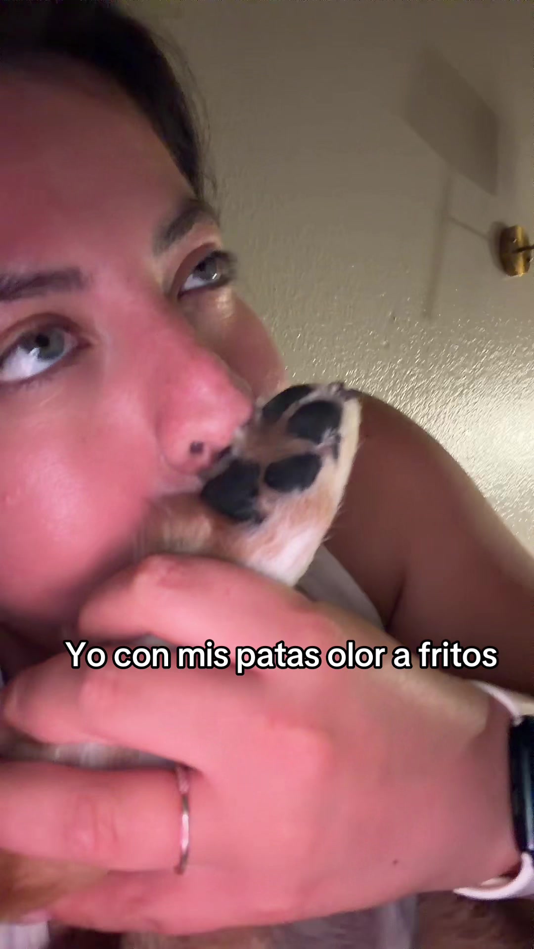 @ashleytorres